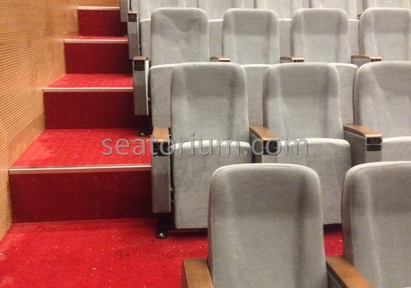 İstanbul Özyeğin University VIP Auditorium Chairs - Seatorium™'s Auditorium