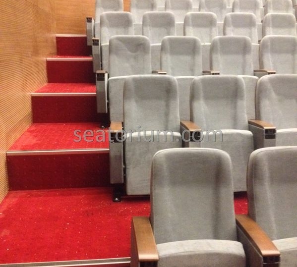 İstanbul Özyeğin University VIP Auditorium Chairs - Seatorium™'s Auditorium