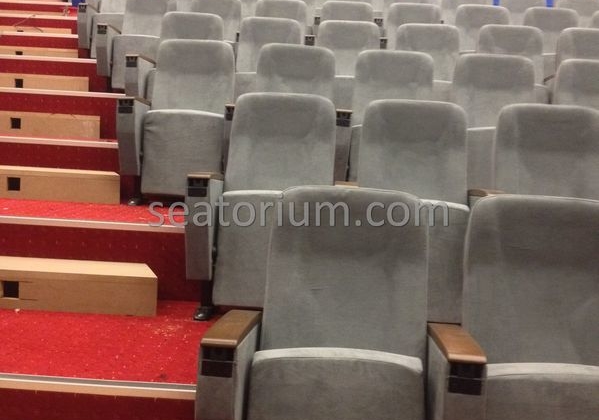 İstanbul Özyeğin University VIP Auditorium Chairs - Seatorium™'s Auditorium