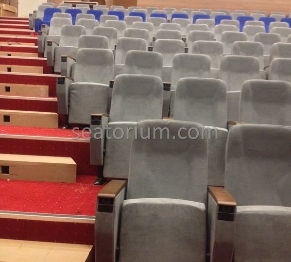 İstanbul Özyeğin University VIP Auditorium Chairs - Seatorium™'s Auditorium