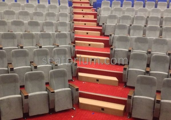 İstanbul Özyeğin University VIP Auditorium Chairs - Seatorium™'s Auditorium