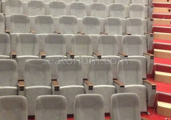 İstanbul Özyeğin University VIP Auditorium Chairs - Seatorium™'s Auditorium
