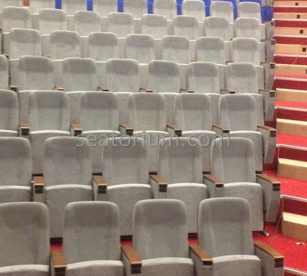 İstanbul Özyeğin University VIP Auditorium Chairs - Seatorium™'s Auditorium