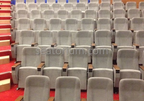 İstanbul Özyeğin University VIP Auditorium Chairs - Seatorium™'s Auditorium