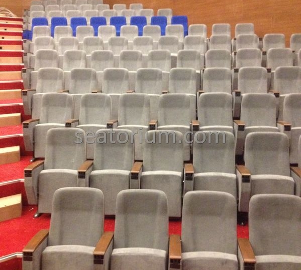 İstanbul Özyeğin University VIP Auditorium Chairs - Seatorium™'s Auditorium