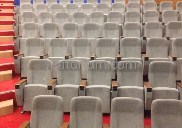 İstanbul Özyeğin University VIP Auditorium Chairs - Seatorium™'s Auditorium