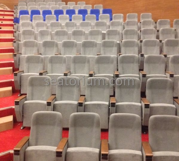 İstanbul Özyeğin University VIP Auditorium Chairs - Seatorium™'s Auditorium