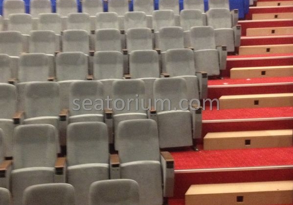 İstanbul Özyeğin University VIP Auditorium Chairs - Seatorium™'s Auditorium