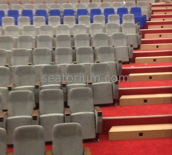 İstanbul Özyeğin University VIP Auditorium Chairs - Seatorium™'s Auditorium