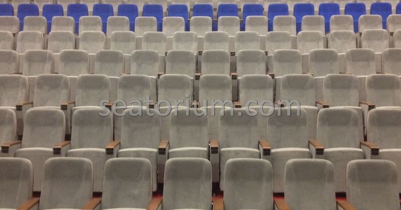 İstanbul Özyeğin University VIP Auditorium Chairs - Seatorium™'s Auditorium