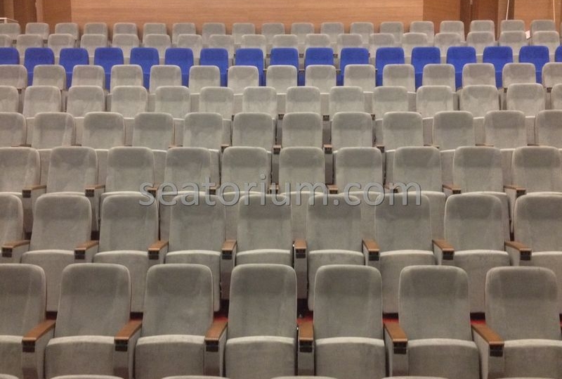 İstanbul Özyeğin University VIP Auditorium Chairs - Seatorium™'s Auditorium