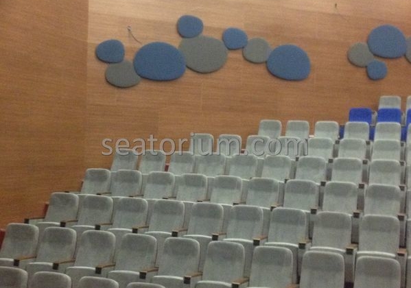 İstanbul Özyeğin University VIP Auditorium Chairs - Seatorium™'s Auditorium