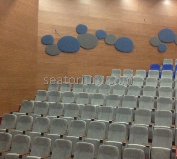 İstanbul Özyeğin University VIP Auditorium Chairs - Seatorium™'s Auditorium