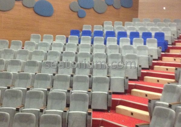İstanbul Özyeğin University VIP Auditorium Chairs - Seatorium™'s Auditorium