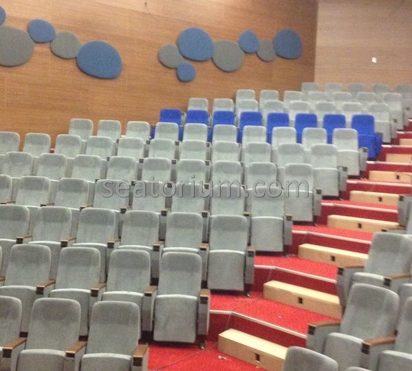 İstanbul Özyeğin University VIP Auditorium Chairs - Seatorium™'s Auditorium