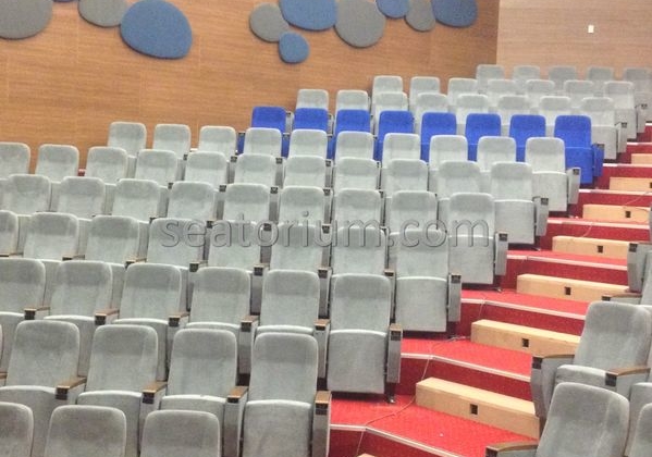 İstanbul Özyeğin University VIP Auditorium Chairs - Seatorium™'s Auditorium