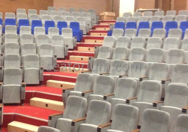 İstanbul Özyeğin University VIP Auditorium Chairs - Seatorium™'s Auditorium