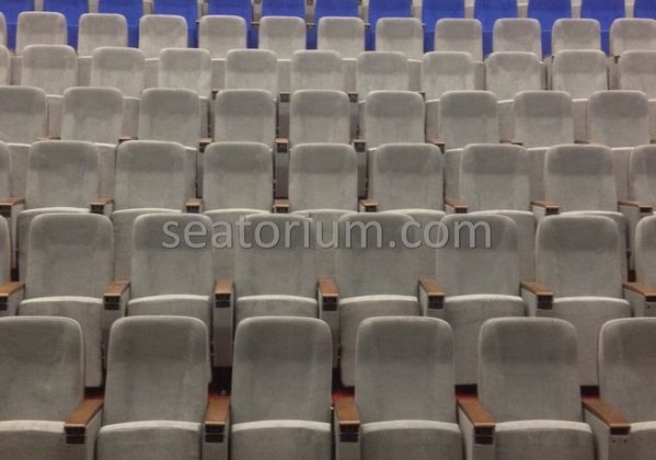 İstanbul Özyeğin University VIP Auditorium Chairs - Seatorium™'s Auditorium