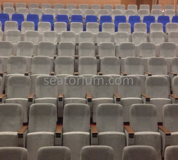 İstanbul Özyeğin University VIP Auditorium Chairs - Seatorium™'s Auditorium