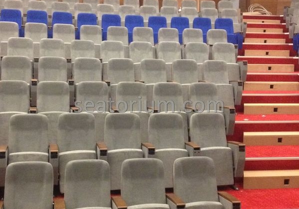 İstanbul Özyeğin University VIP Auditorium Chairs - Seatorium™'s Auditorium