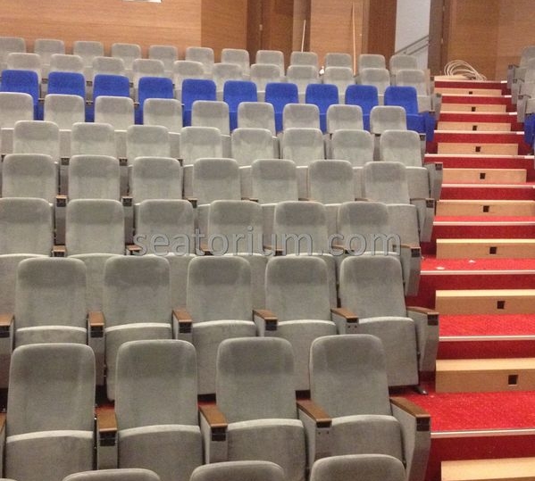 İstanbul Özyeğin University VIP Auditorium Chairs - Seatorium™'s Auditorium