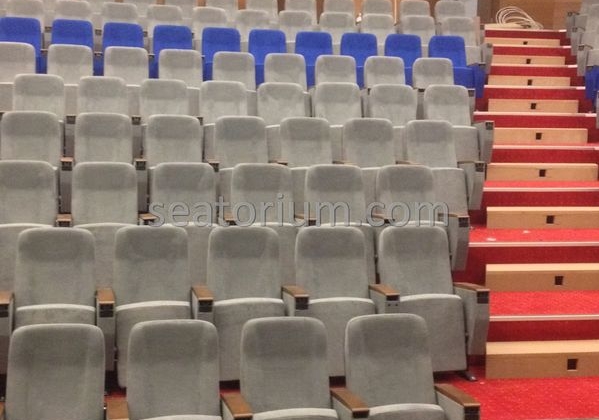 İstanbul Özyeğin University VIP Auditorium Chairs - Seatorium™'s Auditorium