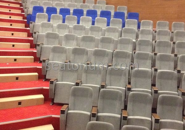 İstanbul Özyeğin University VIP Auditorium Chairs - Seatorium™'s Auditorium