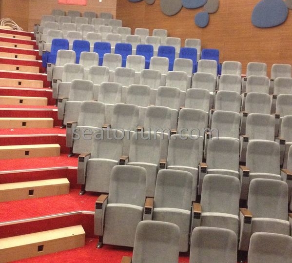 İstanbul Özyeğin University VIP Auditorium Chairs - Seatorium™'s Auditorium