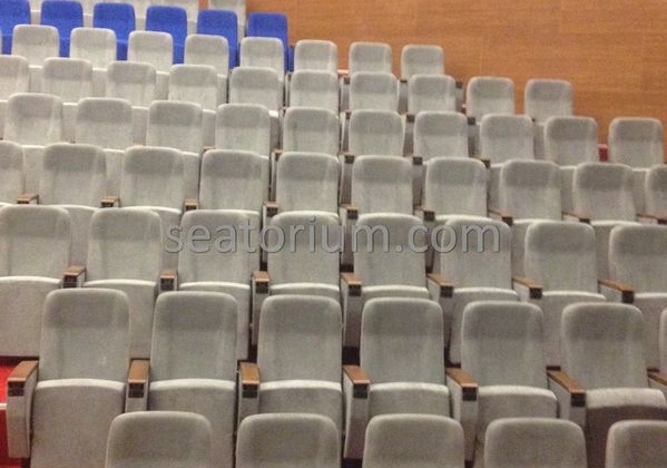 İstanbul Özyeğin University VIP Auditorium Chairs - Seatorium™'s Auditorium