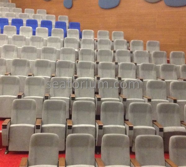 İstanbul Özyeğin University VIP Auditorium Chairs - Seatorium™'s Auditorium