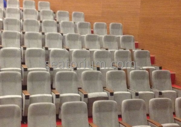 İstanbul Özyeğin University VIP Auditorium Chairs - Seatorium™'s Auditorium