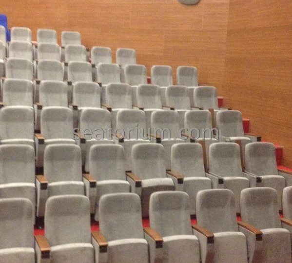 İstanbul Özyeğin University VIP Auditorium Chairs - Seatorium™'s Auditorium