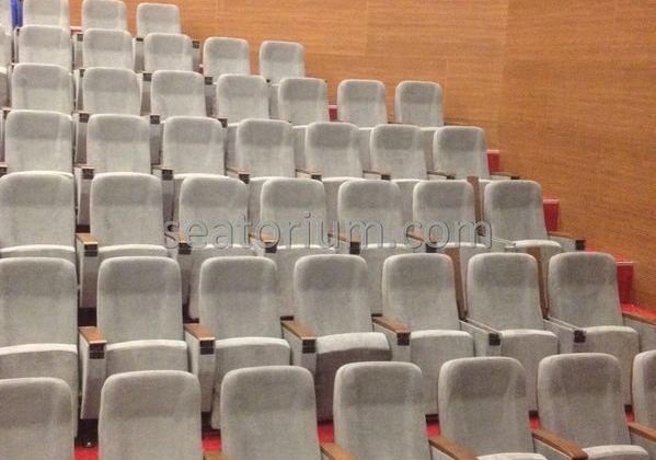 İstanbul Özyeğin University VIP Auditorium Chairs - Seatorium™'s Auditorium