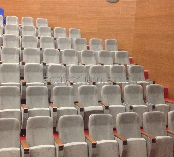 İstanbul Özyeğin University VIP Auditorium Chairs - Seatorium™'s Auditorium