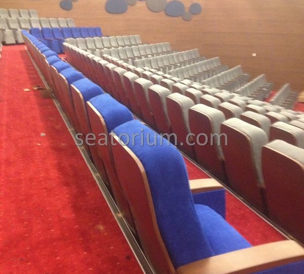 İstanbul Özyeğin University VIP Auditorium Chairs - Seatorium™'s Auditorium