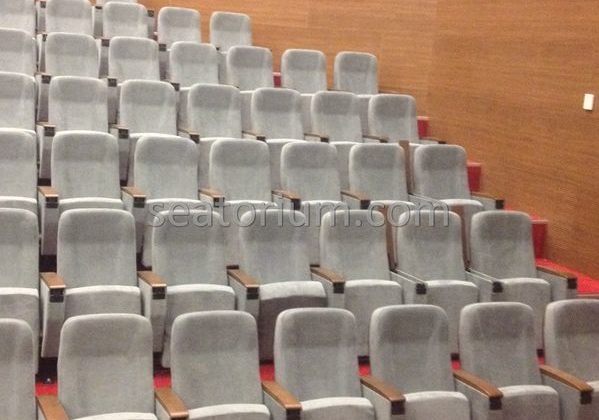 İstanbul Özyeğin University VIP Auditorium Chairs - Seatorium™'s Auditorium