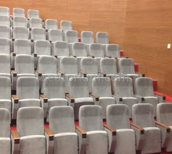 İstanbul Özyeğin University VIP Auditorium Chairs - Seatorium™'s Auditorium