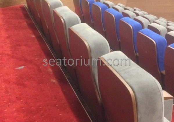 İstanbul Özyeğin University VIP Auditorium Chairs - Seatorium™'s Auditorium