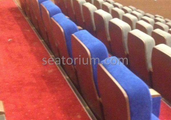 İstanbul Özyeğin University VIP Auditorium Chairs - Seatorium™'s Auditorium
