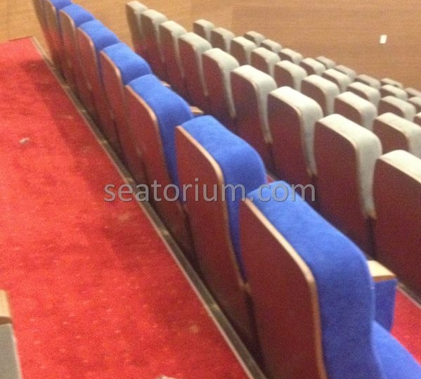 İstanbul Özyeğin University VIP Auditorium Chairs - Seatorium™'s Auditorium