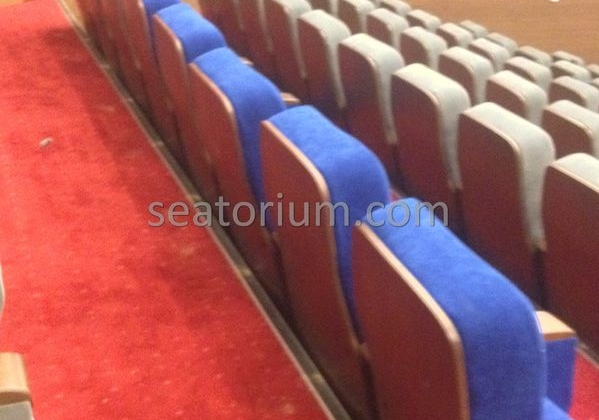 İstanbul Özyeğin University VIP Auditorium Chairs - Seatorium™'s Auditorium