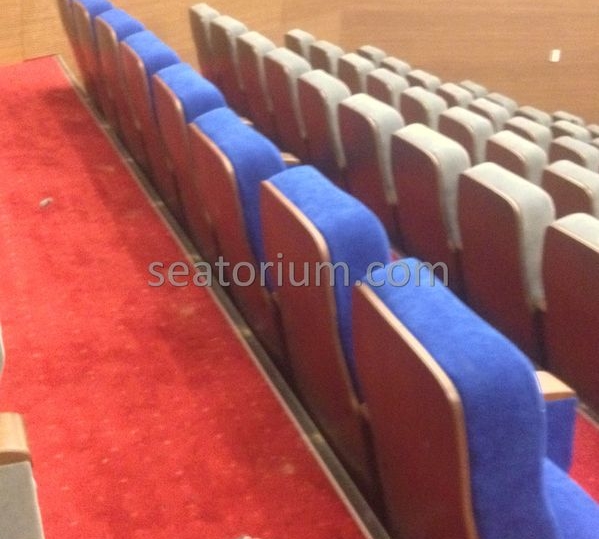 İstanbul Özyeğin University VIP Auditorium Chairs - Seatorium™'s Auditorium