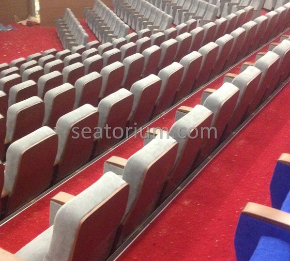 İstanbul Özyeğin University VIP Auditorium Chairs - Seatorium™'s Auditorium