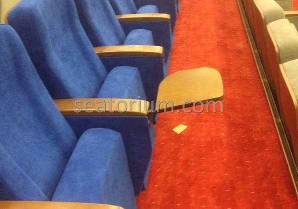 İstanbul Özyeğin University VIP Auditorium Chairs - Seatorium™'s Auditorium
