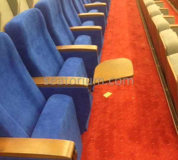 İstanbul Özyeğin University VIP Auditorium Chairs - Seatorium™'s Auditorium