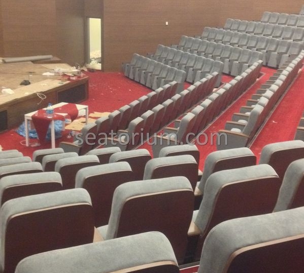 İstanbul Özyeğin University VIP Auditorium Chairs - Seatorium™'s Auditorium