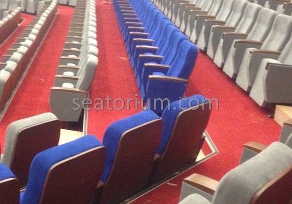 İstanbul Özyeğin University VIP Auditorium Chairs - Seatorium™'s Auditorium
