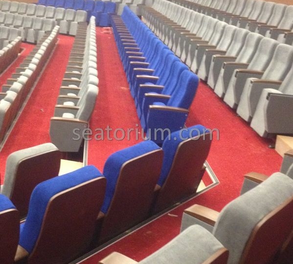 İstanbul Özyeğin University VIP Auditorium Chairs - Seatorium™'s Auditorium