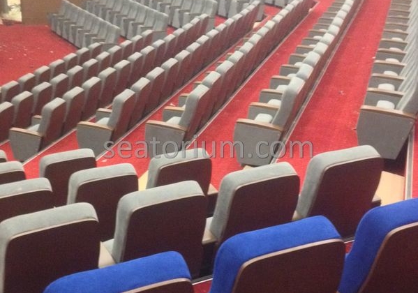 İstanbul Özyeğin University VIP Auditorium Chairs - Seatorium™'s Auditorium