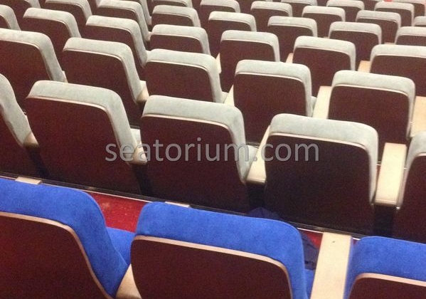 İstanbul Özyeğin University VIP Auditorium Chairs - Seatorium™'s Auditorium